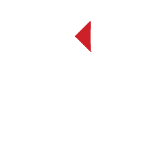 Transline Footer Logo